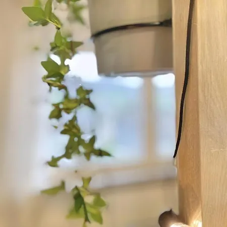 Lägenhet Ruhiges Naturparadies Fuer 4 Mit Kueche Schreibtisch Und Boxbett *