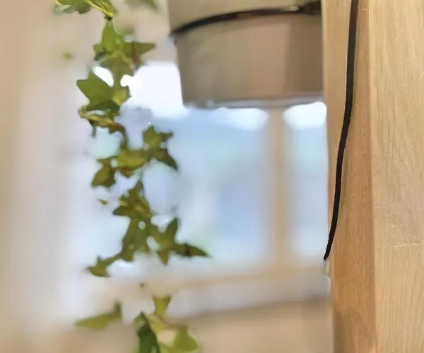 Lejlighed Ruhiges Naturparadies Fuer 4 Mit Kueche Schreibtisch Und Boxbett *